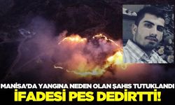 Manisa'da ormanlık alan kül oldu: 1 tutuklama