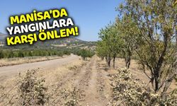 Manisa'da özel ağaçlandırma alanlarına bakım