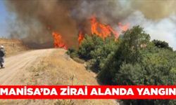 Manisa'da zirai alanda yangın çıktı