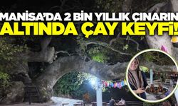 Manisa'daki tarihi çınarın altında çay keyfi!