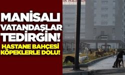 Manisa'daki hastanede güvenlik ve hijyen endişeleri arttı