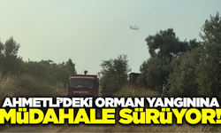 Ahmetli'deki orman yangına havadan karadan müdahale sürüyor!