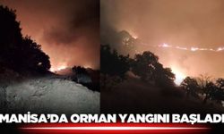 Manisa’da orman yangını başladı