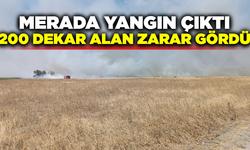 Merada yangın çıktı: 200 dekar alan zarar gördü