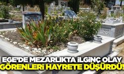 Kütahya'da mezarlıkta ilginç olay!
