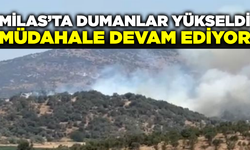 Milas'ta dumanlar yükseldi: havadan ve karadan müdahale sürüyor