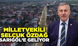 Selçuk Özdağ Sarıgöl'e geliyor