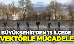 Muğla'da halk sağlığı için vektörlere karşı kapsamlı mücadele