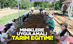 Muğla'da minik eller toprakla buluşuyor!