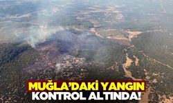 Muğla'da çıkan yangın kontrol altına alındı