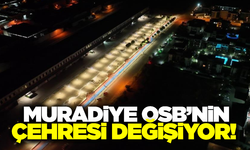 Yatırımcıların gözdesi Muradiye OSB'nin çehresi değişiyor!