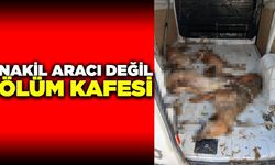Ege'de ihmal can aldı, hayvanlar fırın gibi araçta telef oldu