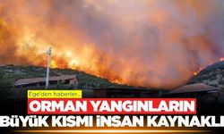 Orman yangınları hakkında önemli bilgiler