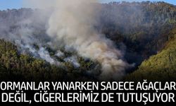 Orman yangınları sadece doğayı değil ciğerlerimizi de etkiliyor