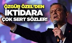 Özel, "Sandık gelecek, hepiniz gideceksiniz"