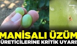 Manisalı üreticilere kritik uyarı!