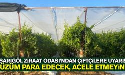 Sarıgöl'de üzüm üreticilerine kredi desteği!
