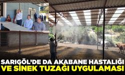 Sarıgöl'de Akabane hastalığı!
