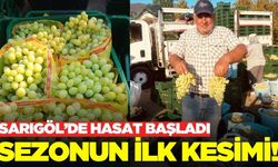 Sarıgöl'de hasat başladı! Fiyat beklentilerin altında