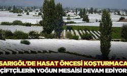 Sarıgöl'de maraton devam ediyor: Çiftçiler yoğun mesaide