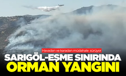 Sarıgöl-Eşme sınırında orman yangını!