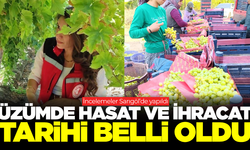 Sarıgöl'de incelemeler yapıldı: Üzümde hasat tarihi belli oldu!