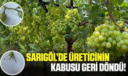 Sarıgöl'de üzüm üreticilerine kritik uyarı!