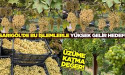 Sarıgöl'de üreticiye yeni kazanç kapısı açılıyor!
