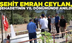 Şehit Uzman Çavuş Ceylan, kabri başında anıldı
