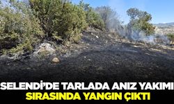 Selendi'de anız yangını!