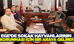 Afyonkarahisar'da sokak hayvanları için seferberlik