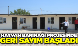 Sultanhisar'da Hayvan Bakımevi Projesi Tamamlanıyor