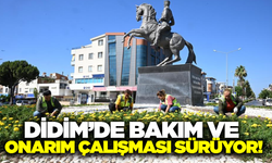 Didim'de kapsamlı çalışma devam ediyor!