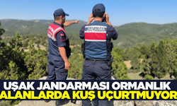 Uşak'ta Jandarma orman yangınlarına karşı teyakkuzda!
