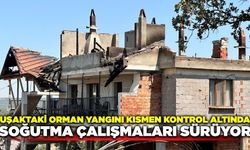 Uşak'taki orman yangınında soğutma çalışmaları sürüyor