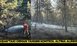 Uşak'taki yangın kontrol altına alındı