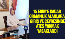 Vali Yiğitbaşı'ndan Yangınlara Karşı Toplu Mücadele Çağrısı