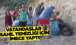 Balıkesir'de vatandaşlar sahil temizliği için bir arada!