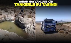İzmir'de yaban hayvanları için tankerle su taşındı