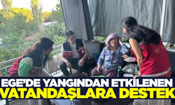 Aydın'da yangın sonrası yaralar sarılıyor