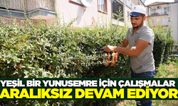 Yunusemre Belediyesi'nden park ve bahçelere kapsamlı çalışma!