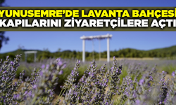 Yunusemre'de lavanta bahçesi ziyaretçilerine kapılarını açtı