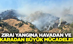 Aydın'da zirai alanda yangın: Ekipler seferber oldu