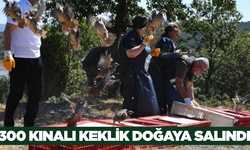 Tavşanlı'da 300 Kınalı Keklik Doğaya Bırakıldı