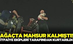Ege'nin kahramanları bir canı daha kurtardı!