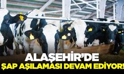 Alaşehir’de Hayvan Sağlığı İçin Yoğun Çalışma: Hastalık Kontrolleri ve Şap Aşılaması Sürüyor