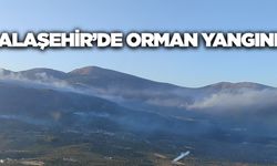 Alaşehir'de Orman Yangını: Ekipler Rüzgarla Mücadele Ediyor