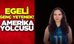 Saraçoğlu, kariyerine Amerika Birleşik Devletleri'nde devam edecek