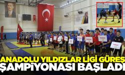 Manisa'da Anadolu Yıldızlar Ligi Güreş Şampiyonası başladı