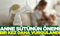 Anne sütü, obeziteye karşı en güçlü kalkan